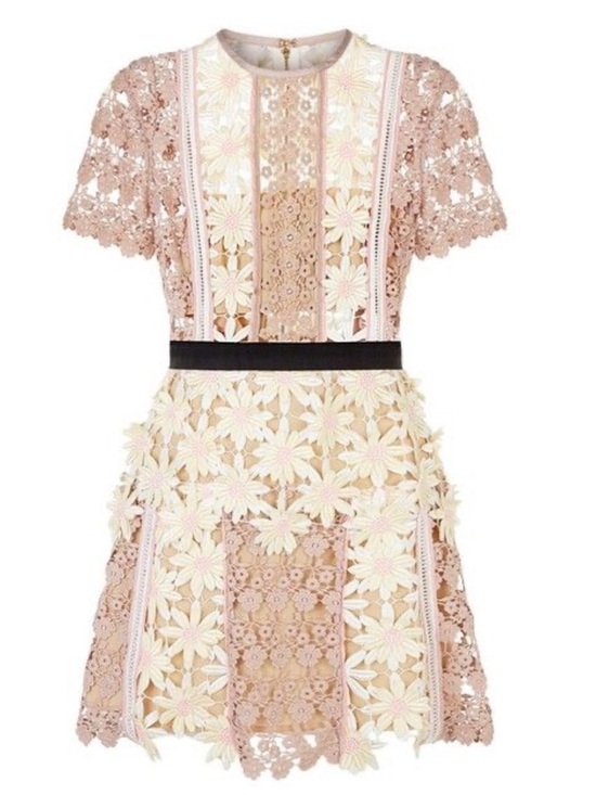 Self-Portrait Dresses & Skirts - Self-Portrait Blush and Ivory Lace Appliqué Dress